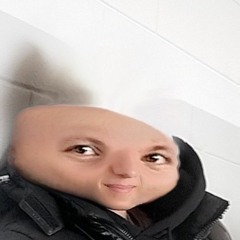 Darie Ion