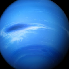 theblueneptune