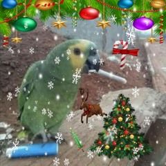 Loro