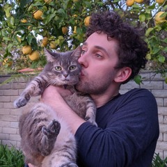 Bcat