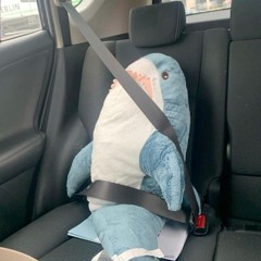 shark_fanatic ＼(^-^)／