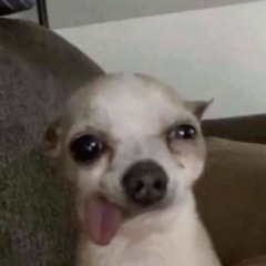 °•°•°•°•°•°•°•