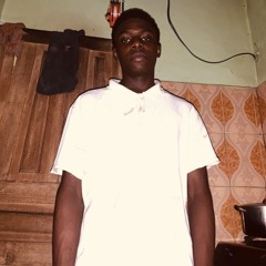 DistroKid Wheel of Playlist