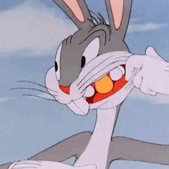 Warner Bros Alliance LLPC