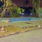 Ahmed Shehata