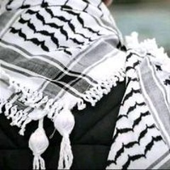 محمد ابو غالي