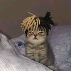 𝑵𝑿𝑰𝑽𝑬