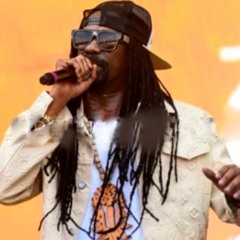 General levy