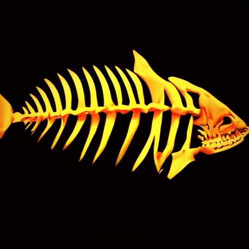 littlefishbone’s avatar