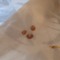 toes