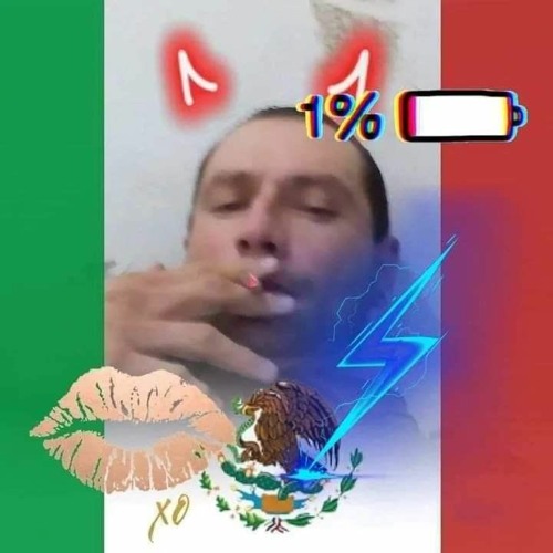 MEXIKANEMIMAFIADELNORTE’s avatar