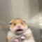 Mdungggx
