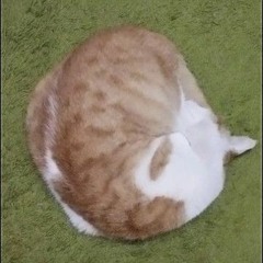 Vincent VanCat