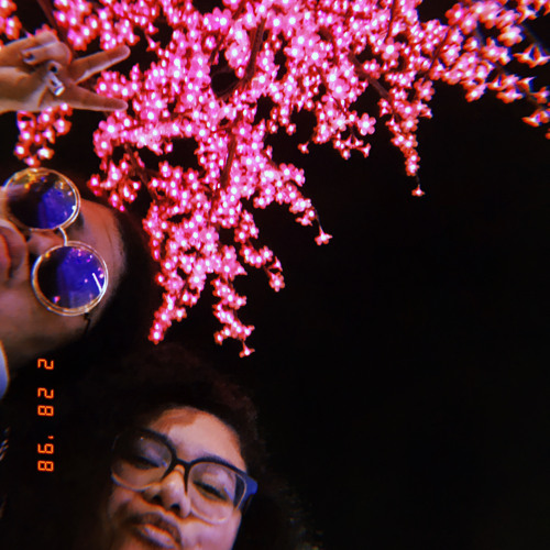 Plies Ft. Charles Clark - She Got It Made