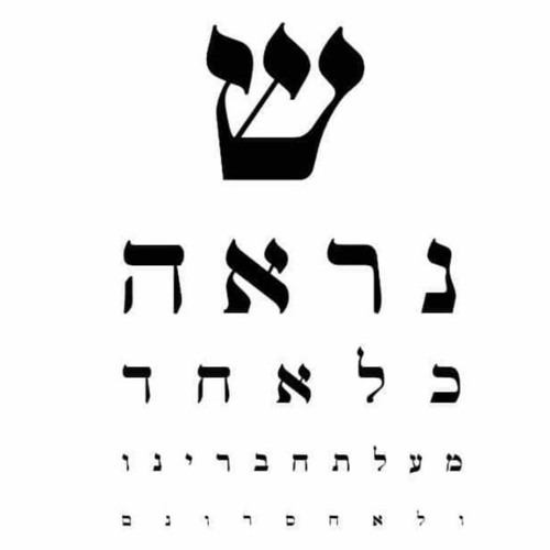 Elad Mor-Yosef’s avatar