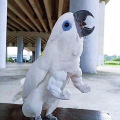 John birdman