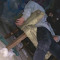 Matt_Taylor69