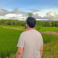 Mr 潘迪沙弗丁
