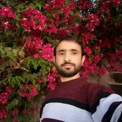 Sharif Gull