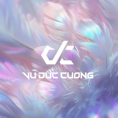 The music collector Đức Cường