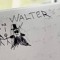 wvltr