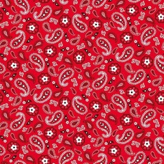 ❤️TheyLuvShmo🔒❤️