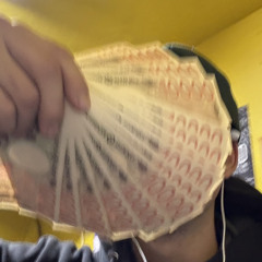 2face plugg j