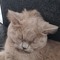 Maxence