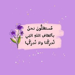 Reem Nour