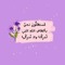 Reem Nour