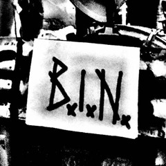 B.I.N.