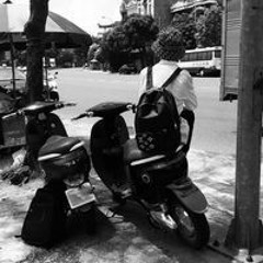 Việt Dũng