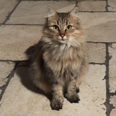 ana