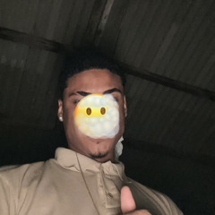 RD.RIBEIRO_027