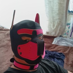 Sir Maxee