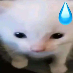 pịa