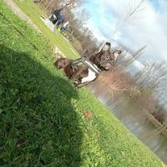 Driftouille Le Retour