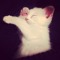 qqqwesh7