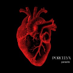 Porcelyn Music