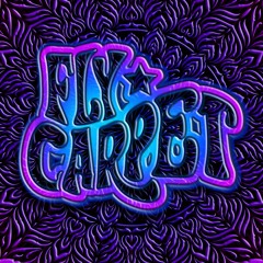 Fly Carpet