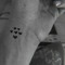 Black-Clover