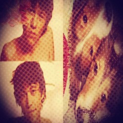 shunnddl