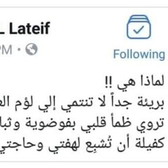Alaa Hussien