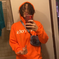 Brenden silva