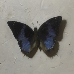 𝒎𝒂𝒔𝒉𝒂𝒆𝒍 .