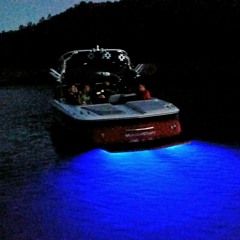 User 501381230