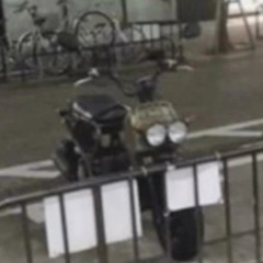 いれい