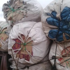 Glauciane Silva Barbosa