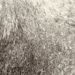 Le Cycle Du Temps Élastique