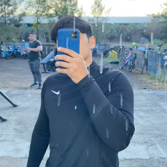 Cristian Sebastian Altamirano juarez